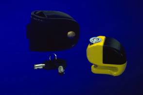 Micro_a075.jpg (3917 byte)